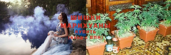 соль ск Арсеньев