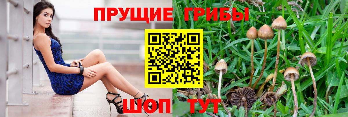 Псилоцибиновые грибы мицелий  Вход с VPN  Гуково  наркотики  Галлюциногенные грибы Magic Shrooms 